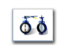 Plants: image 1 0f 4 thumb